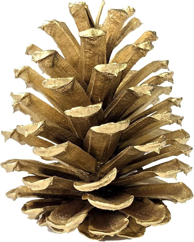 Redolent Home Gold Pine Cones - (10) 2.5" to 4” Tall Bulk Package Premium, Gold Pinecones, and ... | Amazon (US)