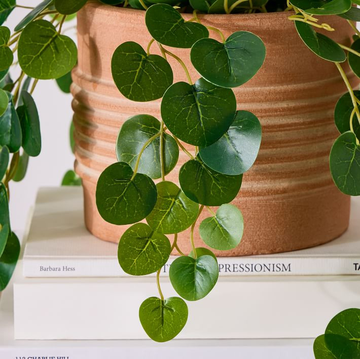 Faux Potted Trailing Leaf Plant | West Elm (US)