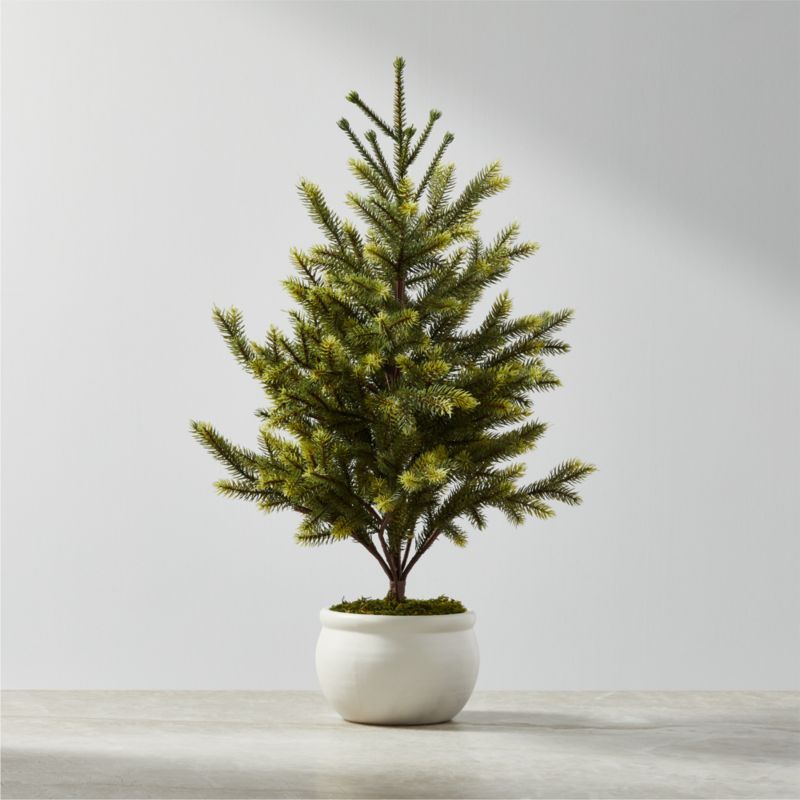 Faux Potted Mini Pine Tree 24" | CB2 | CB2