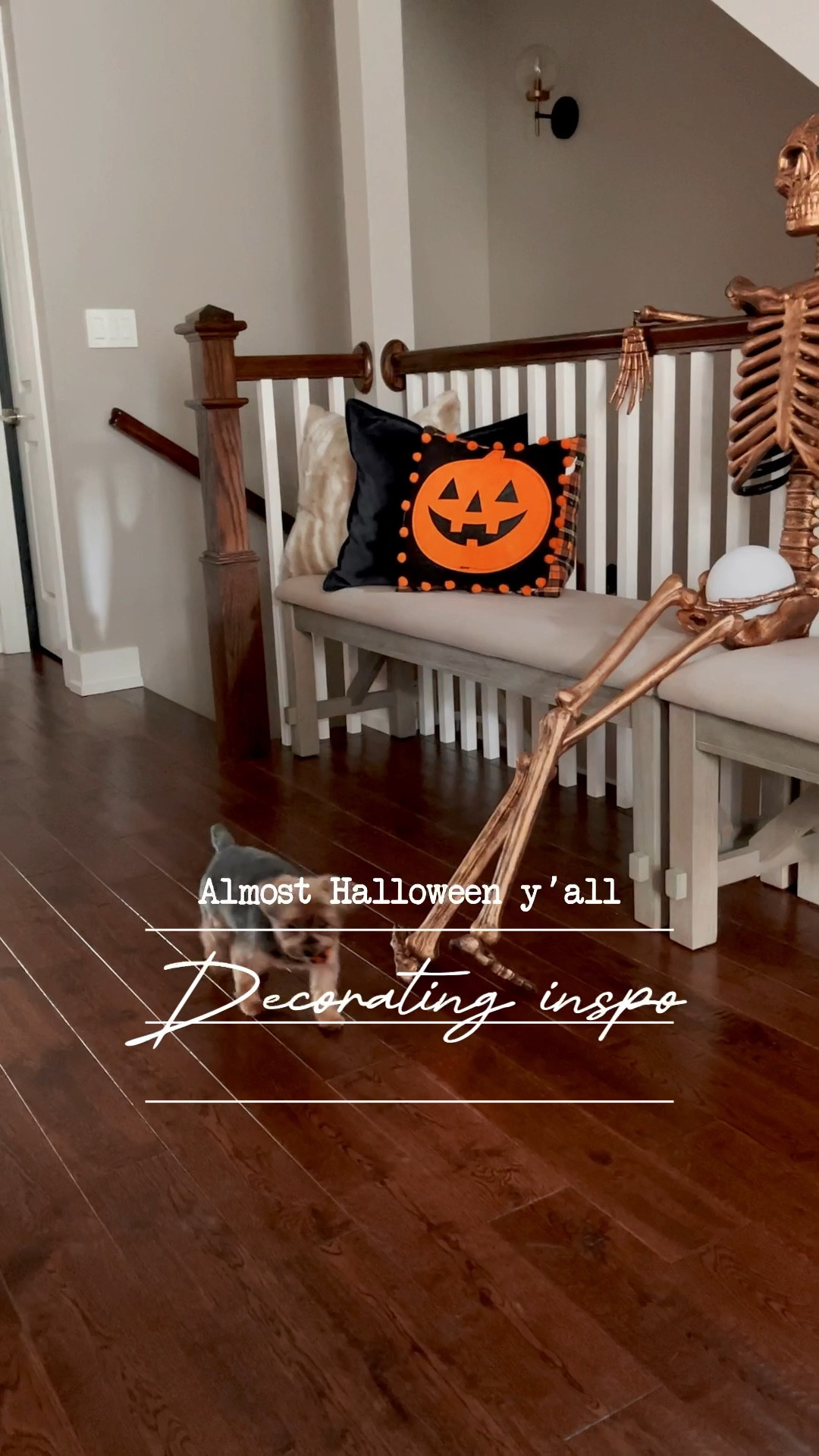 Halloween at home decorating ideas 🎃🕷️🕸️
#ltkhome #ltkvideo #ltkparties

#LTKSeasonal #LTKHalloween #LTKHolidaySale