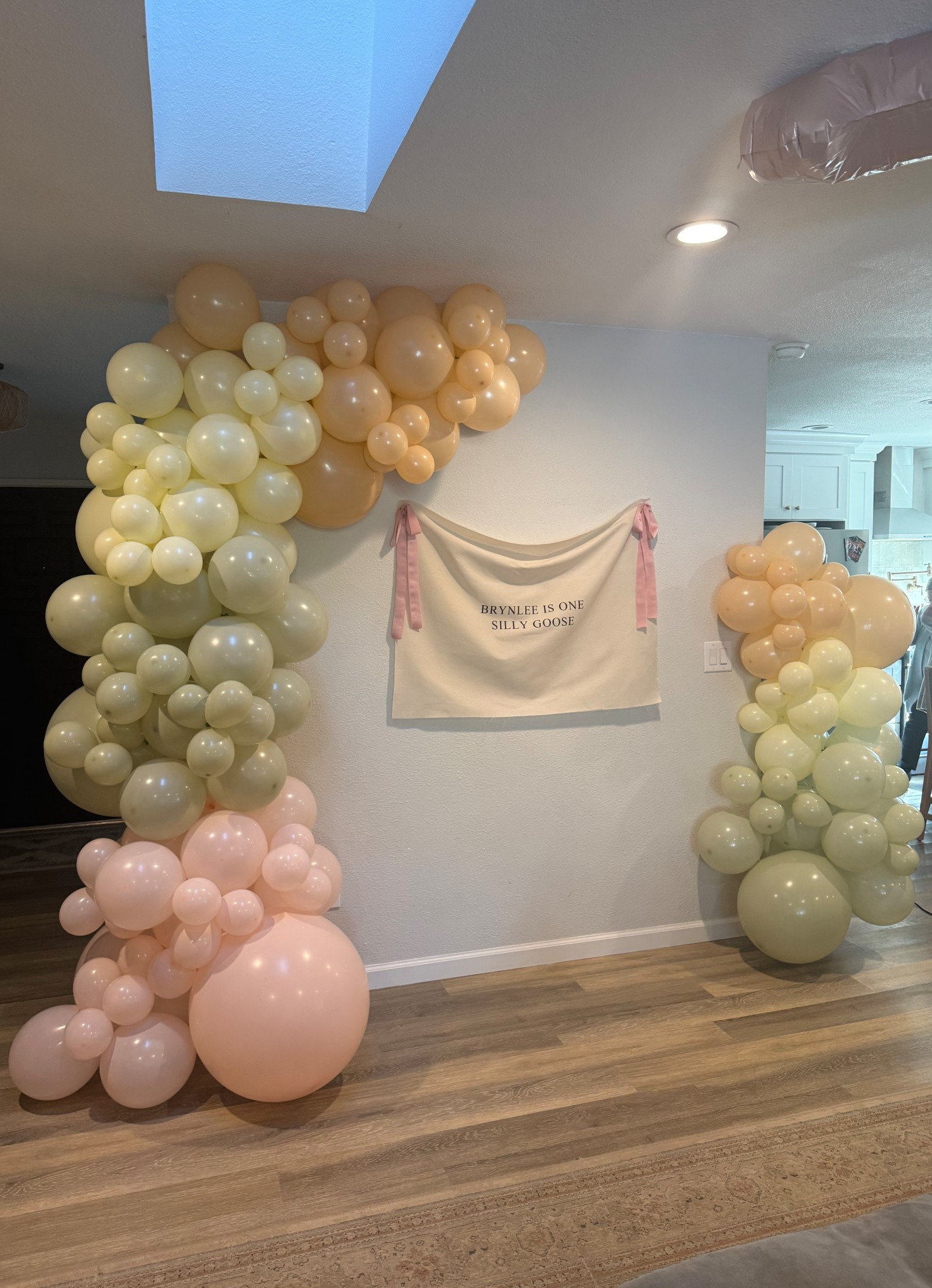 One Silly Goose 
Balloon arch 
First birthday backdrop 
One silly goose backdrop 

#LTKmomlife #LTKKids #LTKBaby
