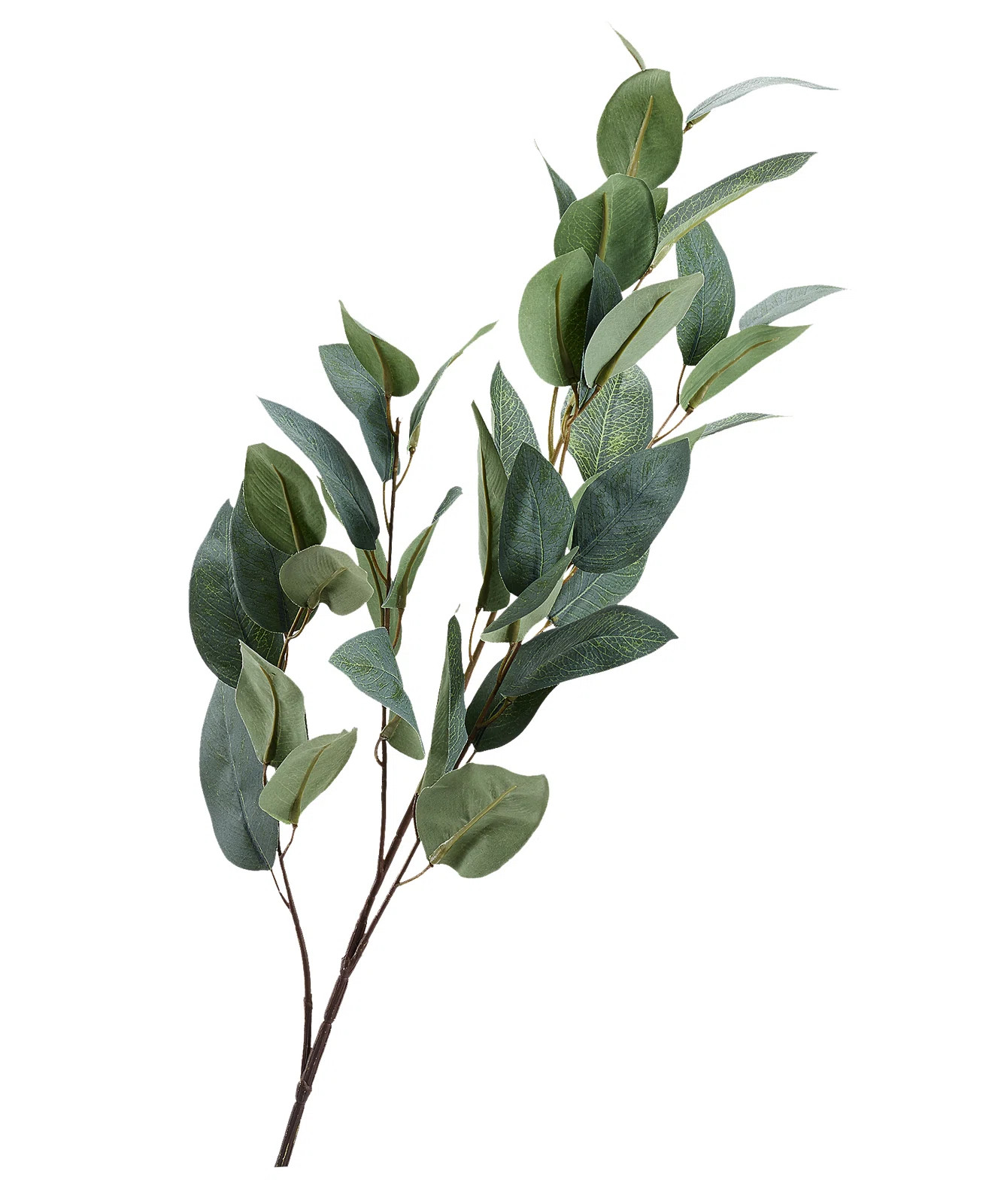 Primrue 38" Artificial Eucalyptus Branch & Reviews | Wayfair | Wayfair North America