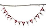 Creative Co-Op Cream & Red Banner Style Wool Felt Merry Christmas Poms Garland, Red | Amazon (US)