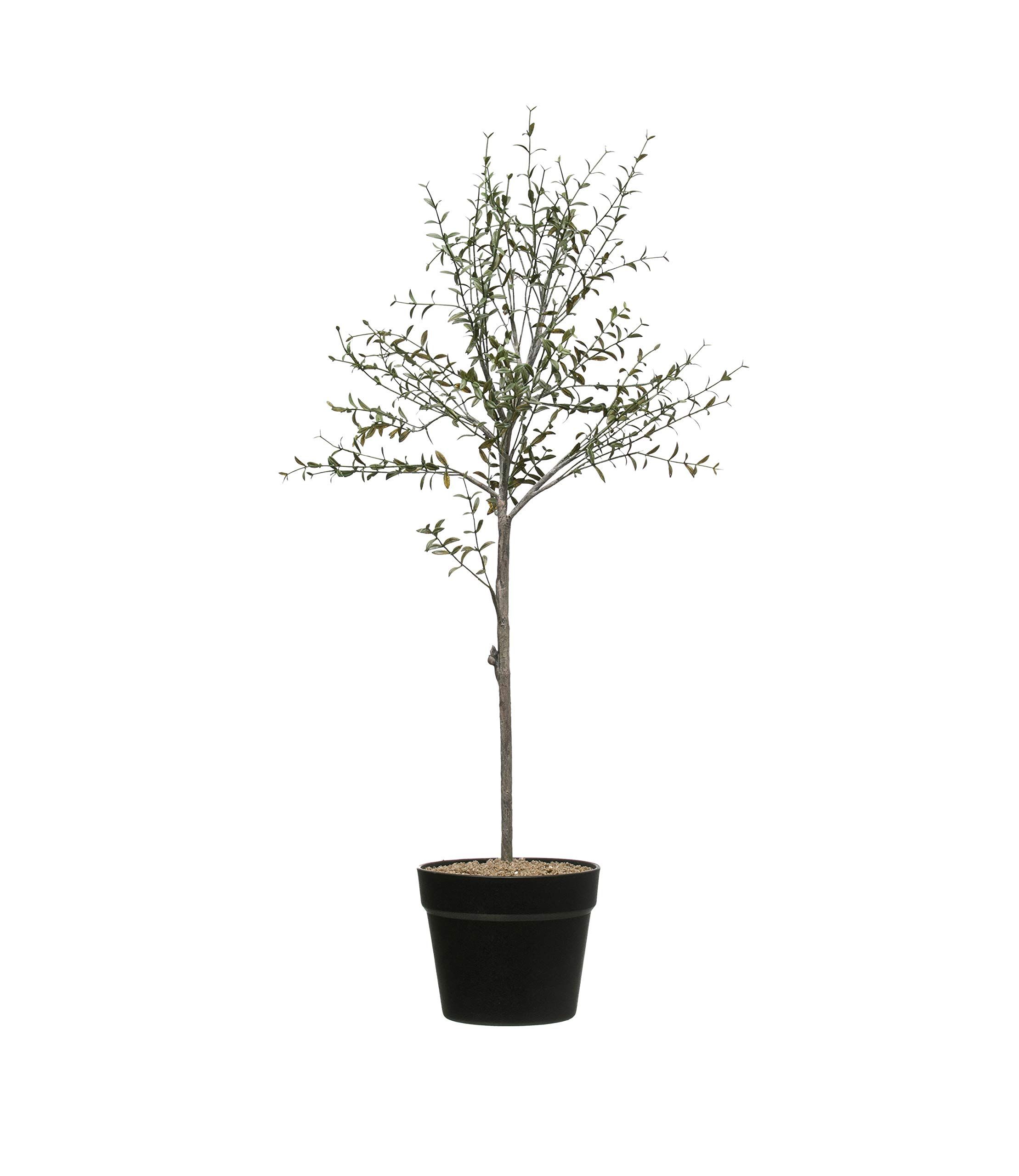 Creative Co-Op DF2615 29" H Thyme Topiary in Pot Faux Botanicals, Green | Amazon (US)