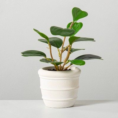 Faux Mini Hoya Heart Potted Plant - Hearth &#38; Hand&#8482; with Magnolia | Target