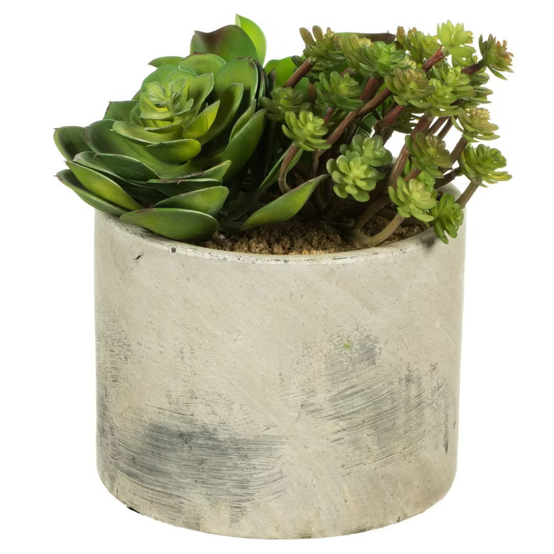 Artificial Succulent Arrangement (8") - Vickerman | Target