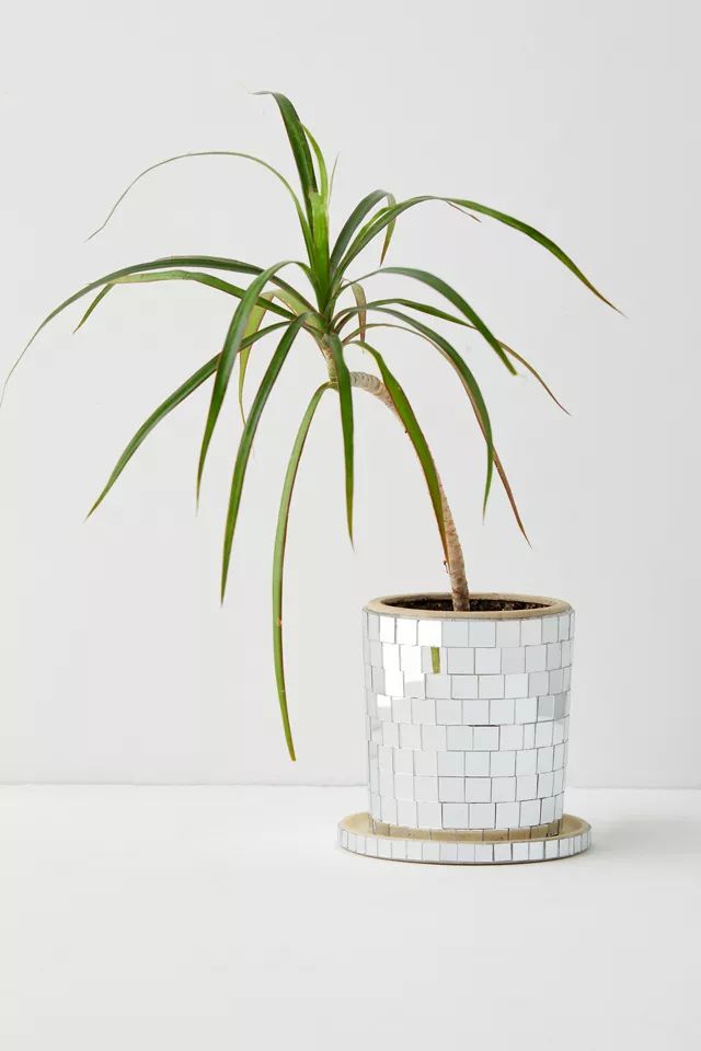 Disco Planter | Urban Outfitters (US and RoW)
