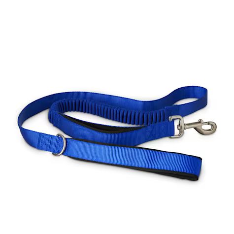 Good2Go Blue Shock Absorbing Dog Leash, 5 ft. | Petco