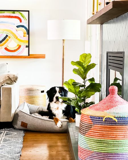I’ll never get sick of this view 🥰 colorful family room, floor lamp, colorful art, colorful basket, fiddle leaf fig, faux fig tree 

#LTKFind #LTKSeasonal #LTKhome