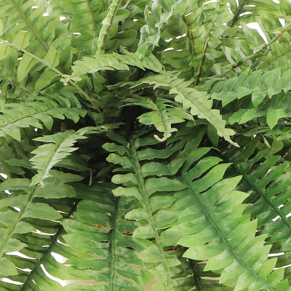 Artman 2 - Piece Artificial Fern Plant Set - Realistic Faux Greenery for Home Decor (Set of 2) | Wayfair North America