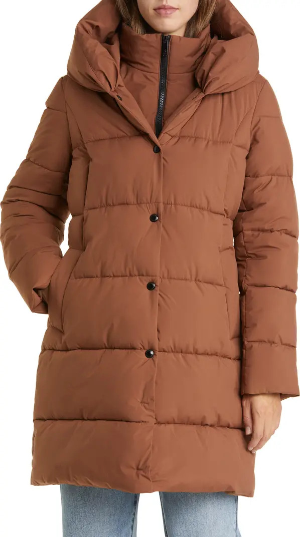 Hooded Puffer Coat | Nordstrom