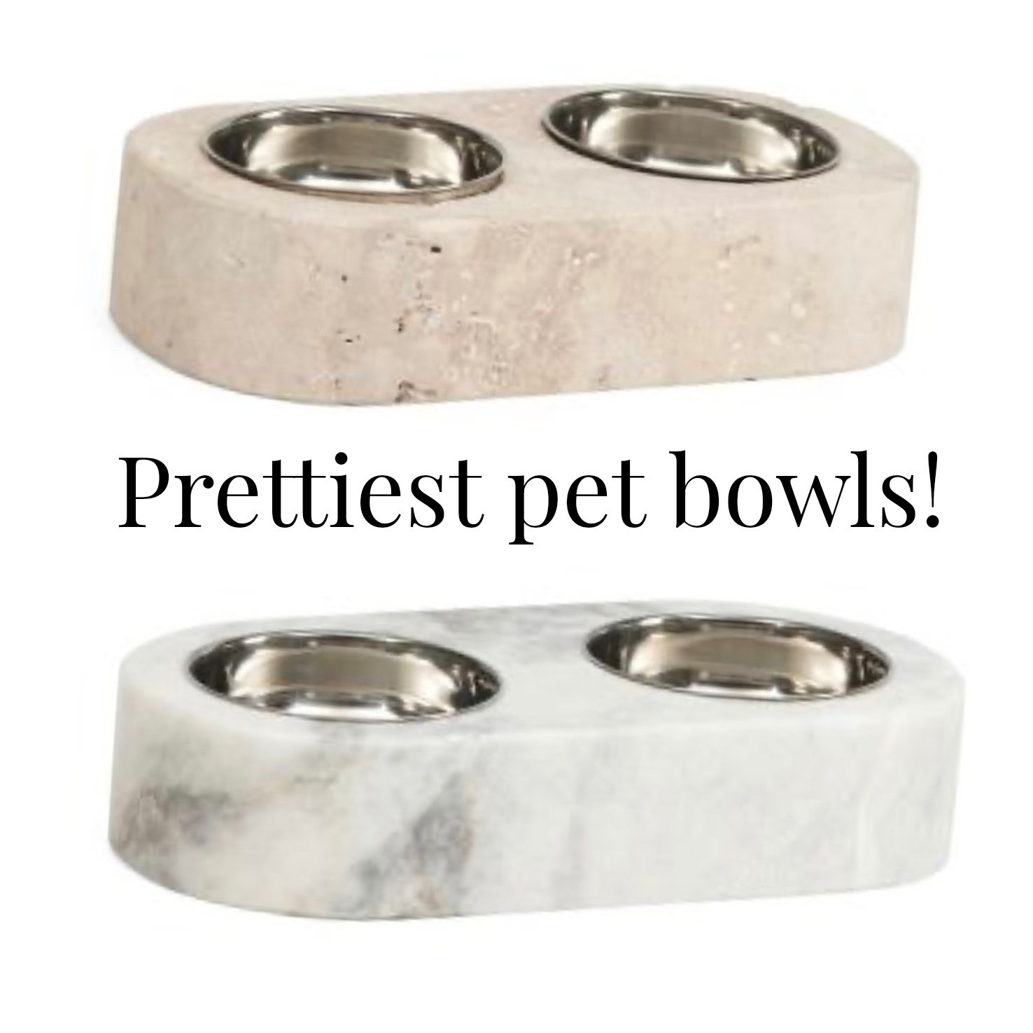 #pets #petbowl #dogs 