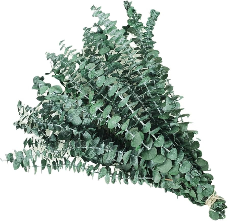 (20Pcs) Dried-Eucalyptus-Stems-Red, Fall Decorations for Home, Real Long Eucalyptus , Eucalyptus ... | Amazon (US)