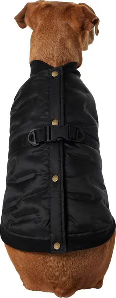 FRISCO Lightweight Belted Puffer Dog & Cat Jacket, Black, Medium - Chewy.com | Chewy.com