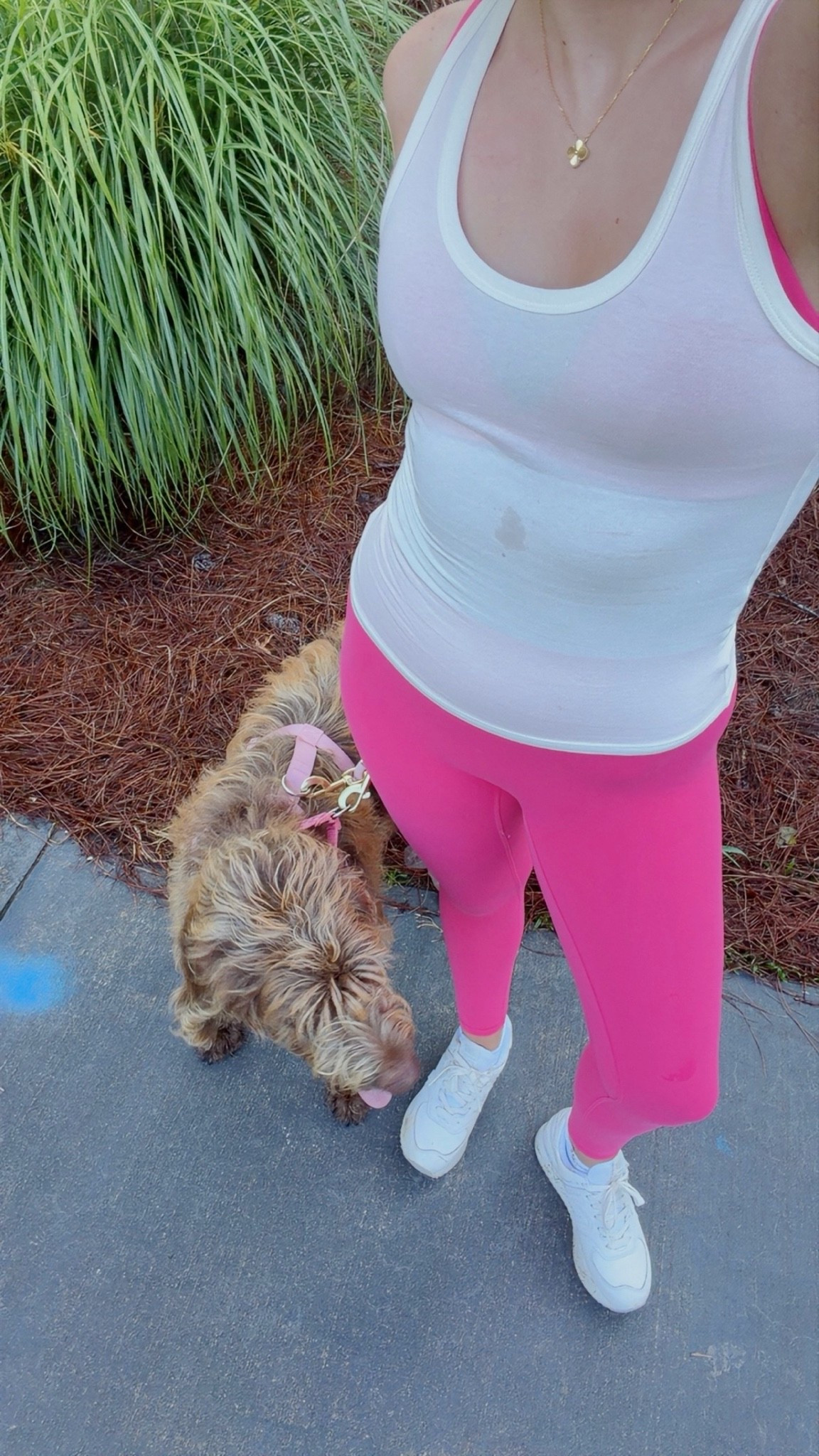 Morning walk ootd!

#LTKootd #LTKfitnessgoals #LTKActive