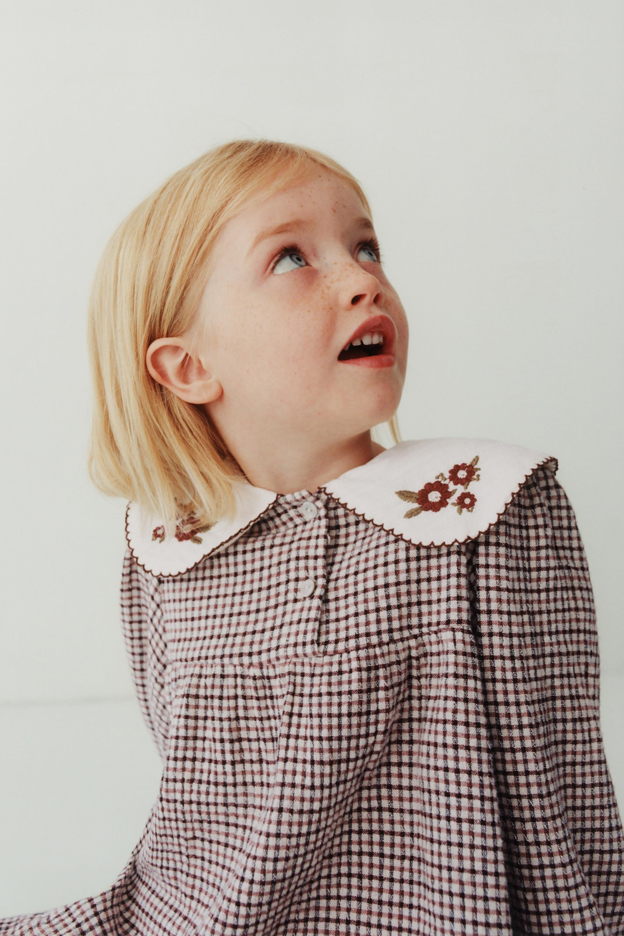 EMBROIDERED COLLAR PLAID TEXTURED DRESS | Zara Canada