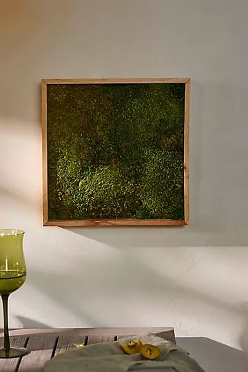 Mood Moss in Frame | Anthropologie (US)