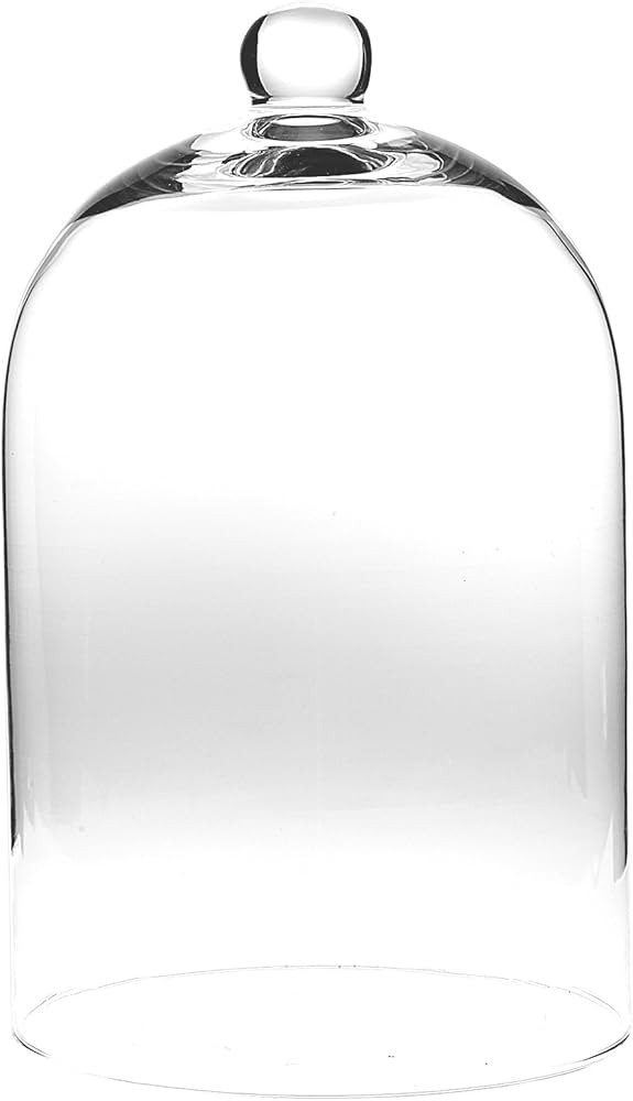 Abbott Collection 400-CLOCHE-729 Cloche, 10 inches H, Clear | Amazon (US)