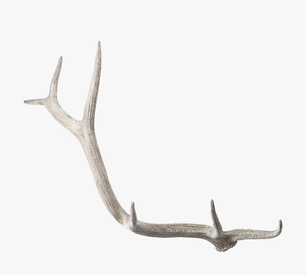 Weathered Elk Antler | Pottery Barn (US)