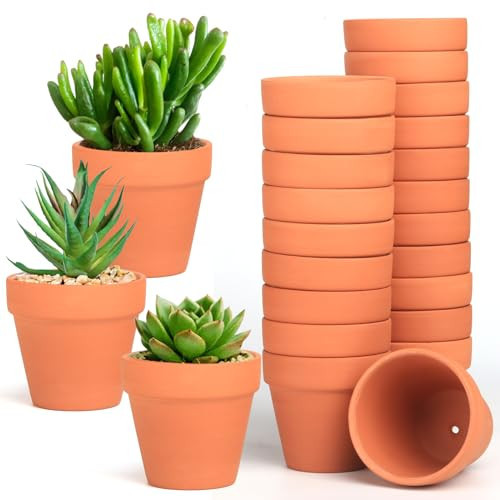 Baxrou Terra Cotta Pots, 24 Pack 3.15 Inch Mini Clay Pot with Drainage Holes,Cactus Flower Nursery Terracotta Pots for Indoor/Outdoor Succulent Plants, Crafts, Wedding Favor | Amazon (US)