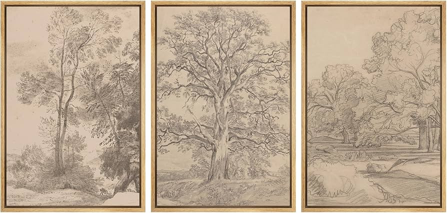 Ashbrook Framed Canvas Print Wall Art Set Retro Vintage Sketchbook Forest Country Landscape Farmh... | Amazon (US)