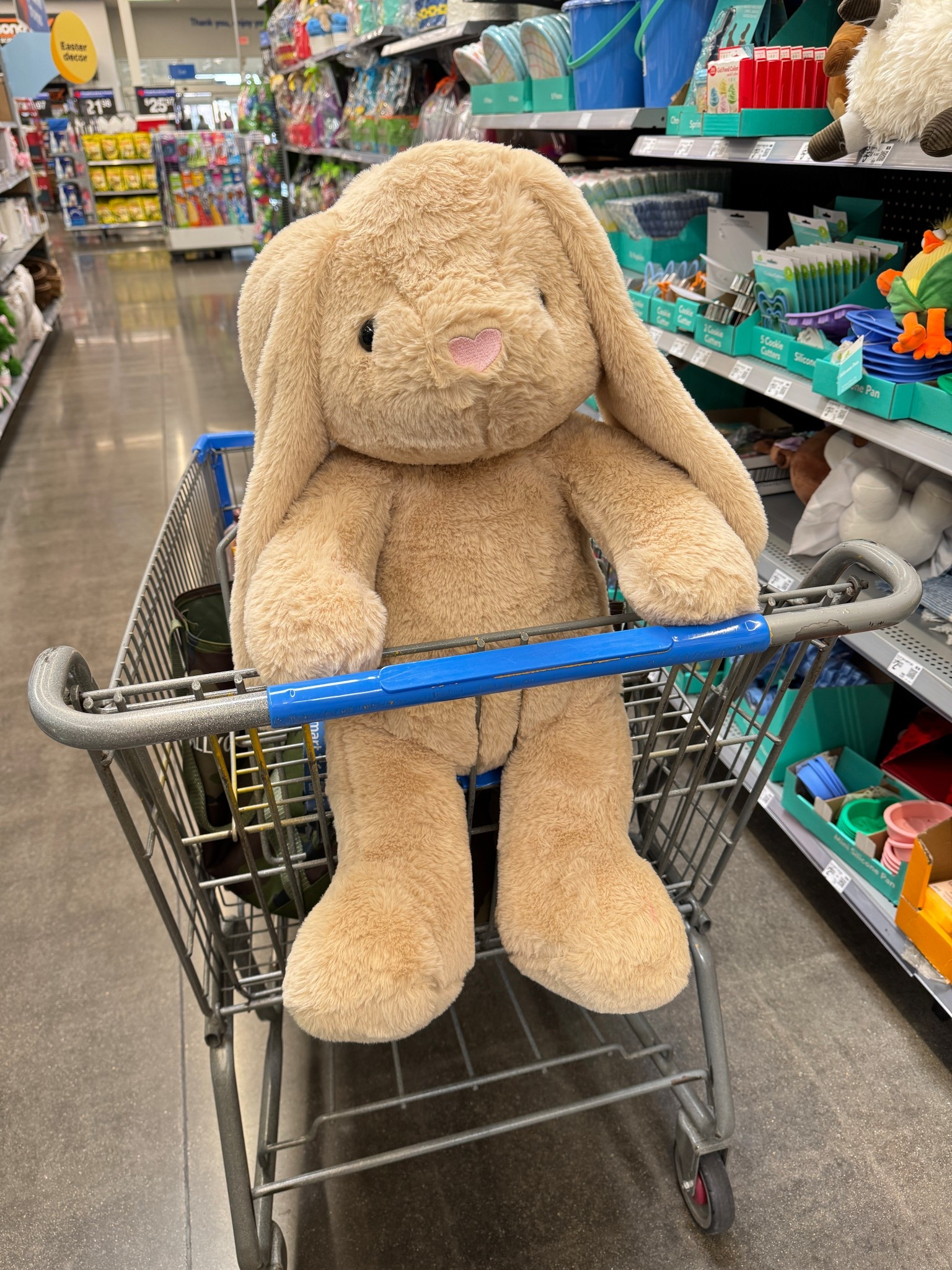 Walmart viral bunnies back in stock!!

#LTKBaby #LTKKids #LTKSeasonal