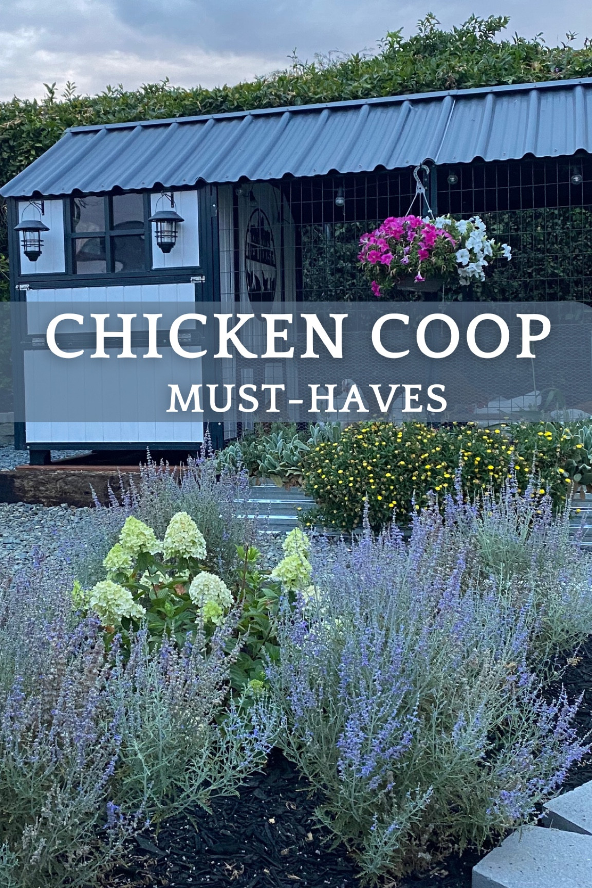 Chicken Coop Must Haves