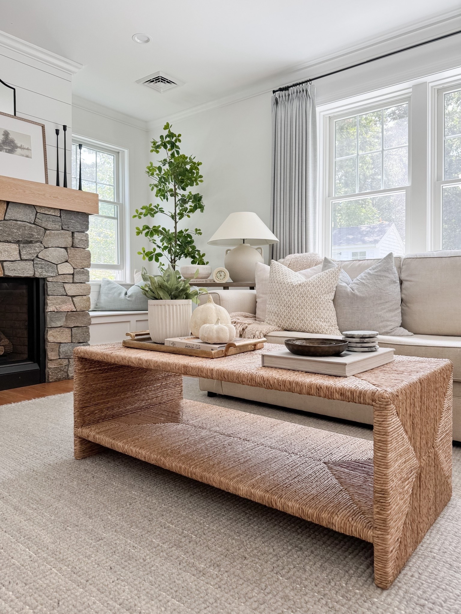 Coastal Living Room

Coastal living room  throw blanket, throw pillows, potter barn sofa, faux fern, concrete planter, white decorative boxes, jute rug, sherri calnan home

#LTKHome