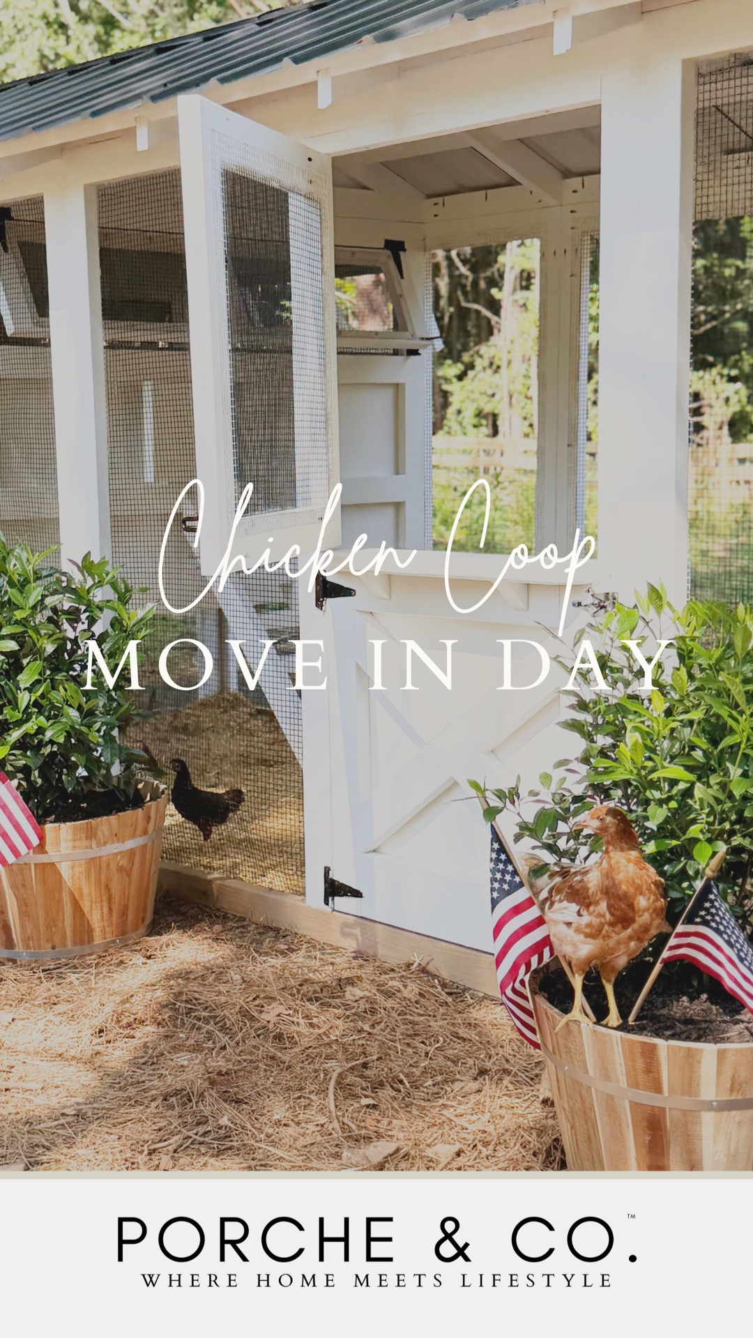 Move-in day for the hens! 🐔🏡
Our flock officially moved into their new American Coop from Carolina Coops, and we couldn’t be happier with how it turned out. We built and painted it ourselves, installed the predator apron for extra safety, and filled it with hemp bedding using the deep litter method (just one clean a year 🙌🏻).

Watching them explore their new home for the first time was the cutest thing ever. So grateful for a setup that’s functional, beautiful, and keeps our girls happy and safe!

#PorcheAndCo #LTKHome #LTKFarmhouse #CarolinaCoops #AmericanCoop #ChickenCoopInspo #BackyardChickens #ChickenMoveInDay #DeepLitterMethod #HempBedding #ModernFarmhouseStyle #ChickenKeepingMadeSimple

#LTKHome #LTKPets #LTKFamily