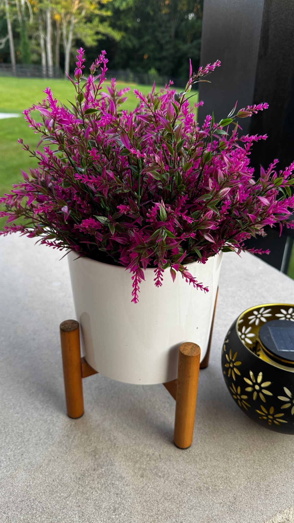 Artificial plants are the way to go if you want the warmth and beauty without the work!  

#plants #amazonhome 

#LTKSummerEdit #LTKHome #LTKSeasonal