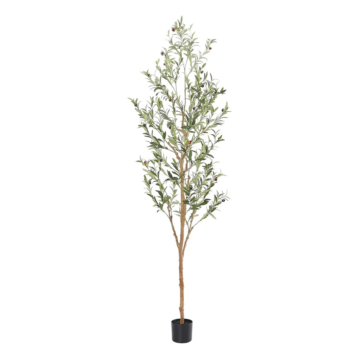 Primrue 84'' Plant in Pot | Wayfair | Wayfair North America