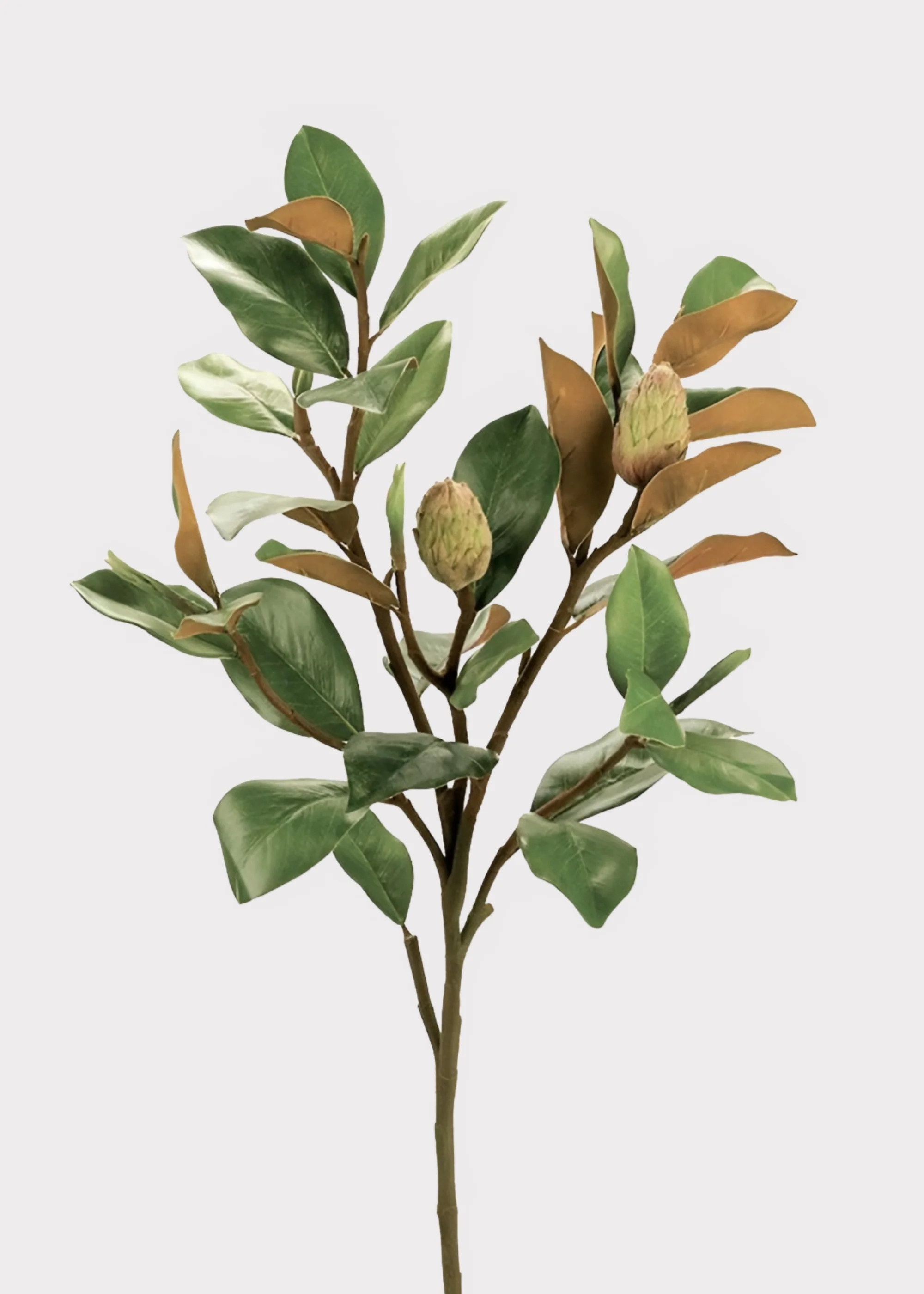 Artificial Budding Magnolia Leaf Branch - 37" | Afloral
