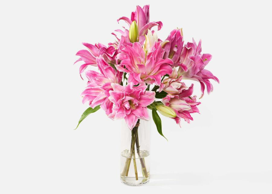 The Lola | UrbanStems