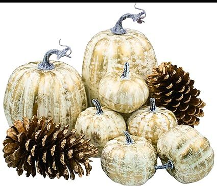 sentonni Pumpkin Decorations,Assorted Sizes Fall Artificial Pumpkins Harvest Pumpkins and Natural... | Amazon (US)
