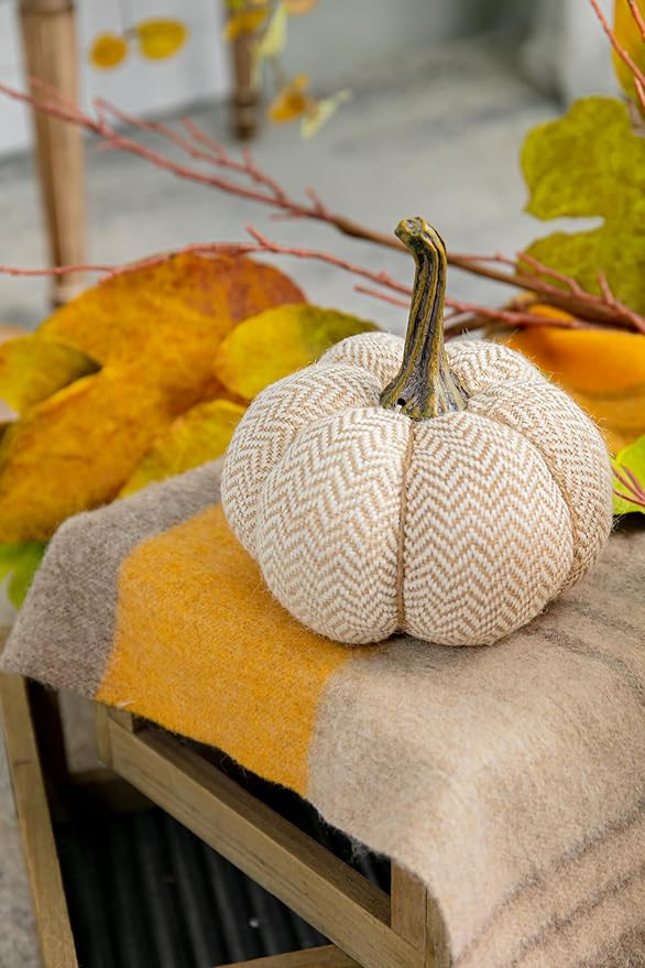 Charming Set of 3 Fabric Weighted Pumpkins for Thanksgiving Decor, Cream Pattern with Realistic S... | Amazon (US)