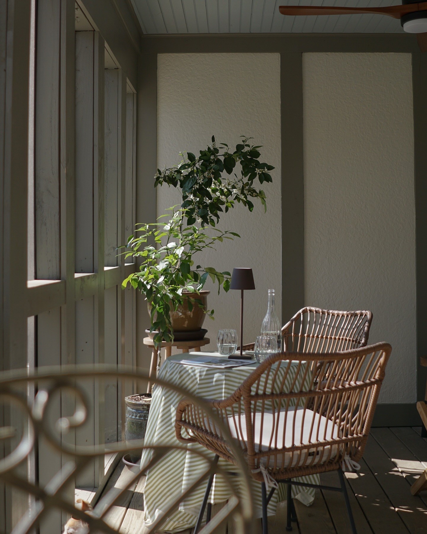 Screened in porch vibes 