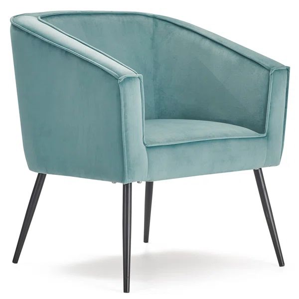 Aitkin Rani Velvet Accent Chair | Wayfair North America