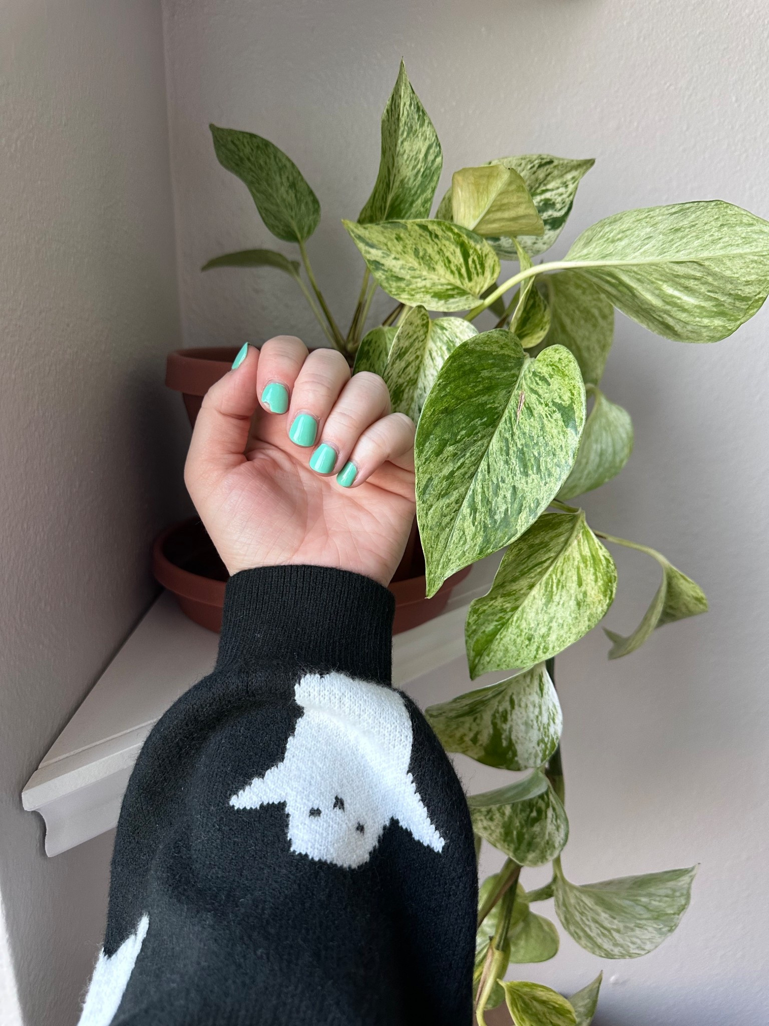 Girls’ Long Sleeve Halloween Cardigan Sweater 👻🖤 I grabbed this in a kids XL (I’m normally a women’s size 6) and it fits perfectly! A cozy, cute, and affordable cardigan for fall outfits, layering, and spooky season style. 🍂🎃 #HalloweenCardigan #FallCardigan #LTKFallFashion #CozyStyle #SpookySeason #LTKFinds

#LTKKids #LTKFindsUnder50 #LTKSeasonal