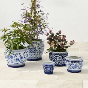 Blue &amp; White Ceramic Planter with Tray Collection | Williams-Sonoma