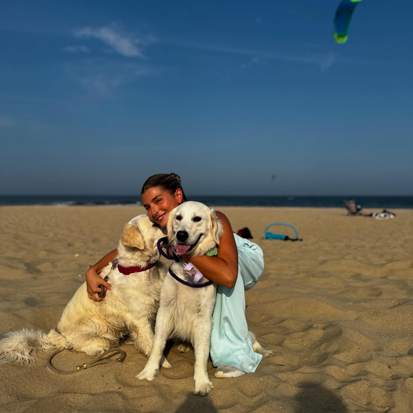 These were taken after they sprinted away from me for 2 miles🤍🤍🤍🤍🤍🤍