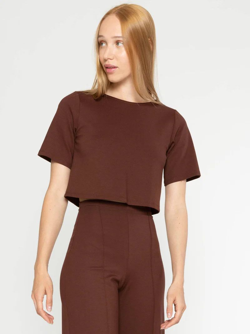 Chocolate Ponte Knit Short Sleeve Top | Ripley Rader