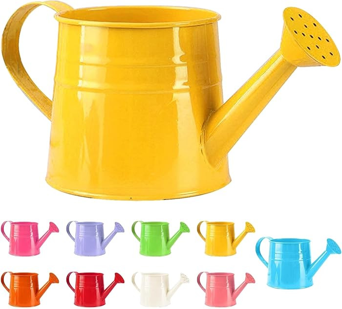 Tinplate Watering Kettle, 1L Metal Garden Watering Can, Vintage Sprinkling Can for Flowers, Indoo... | Amazon (US)