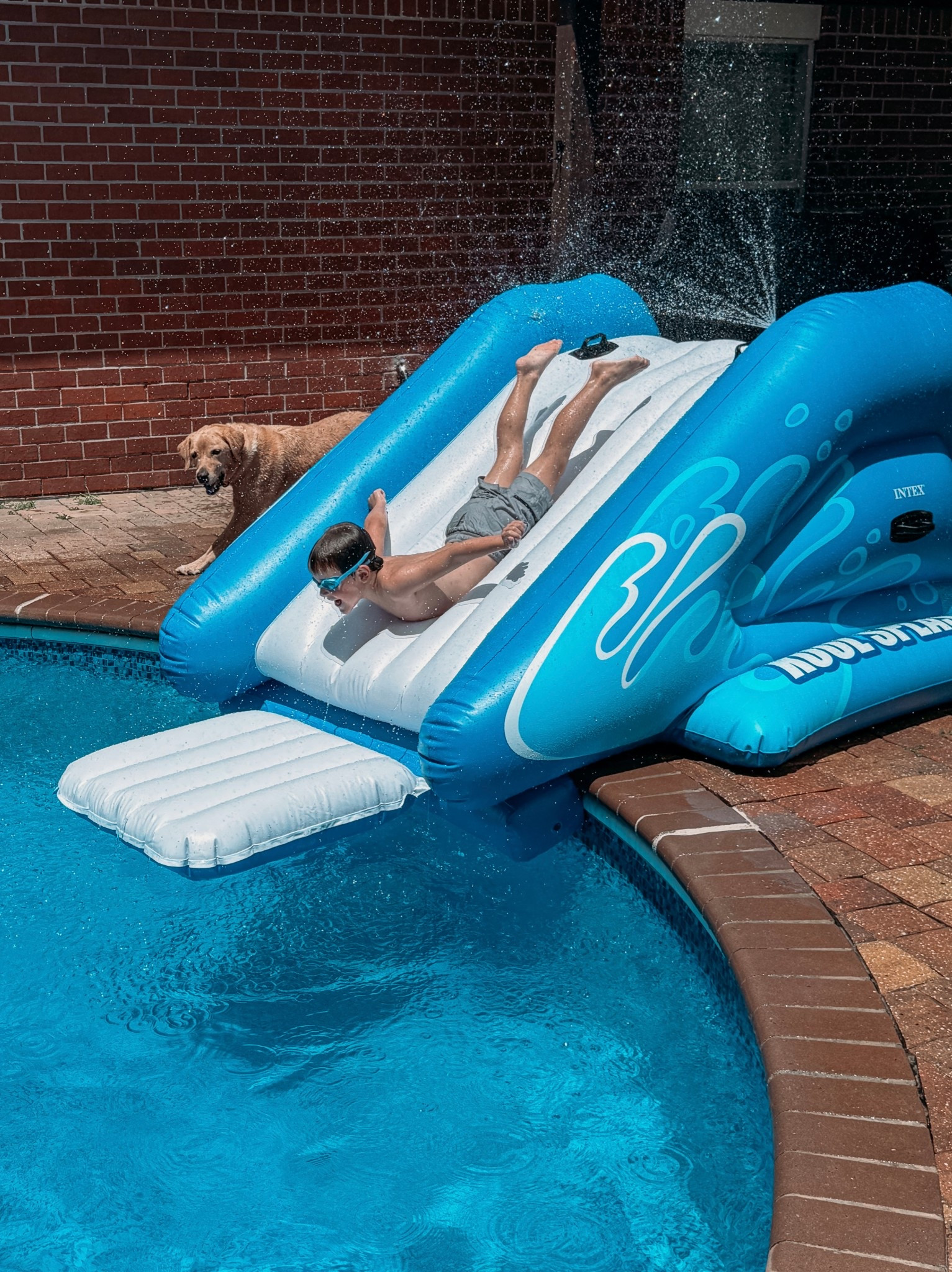 Fun in the sun pool edition 