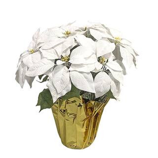 in stock at | The Home Depot