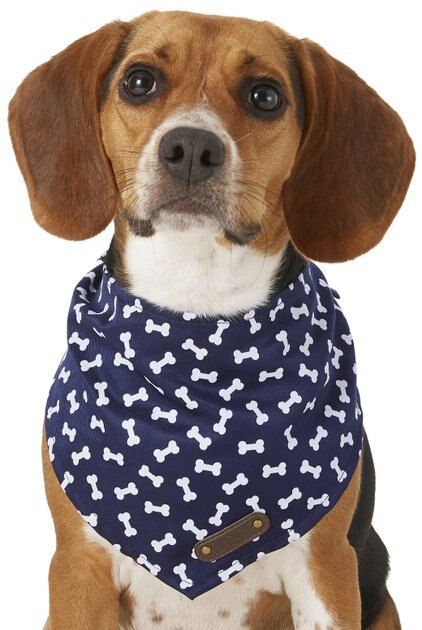 Pup Crew Blue Bone Print Dog Bandana, X-Small/Small | Chewy.com