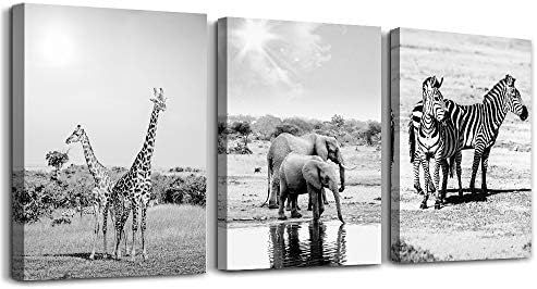 animal Black and white landscape Canvas Prints Bedroom Wall Art for bathroom Wall decor inspirati... | Amazon (US)