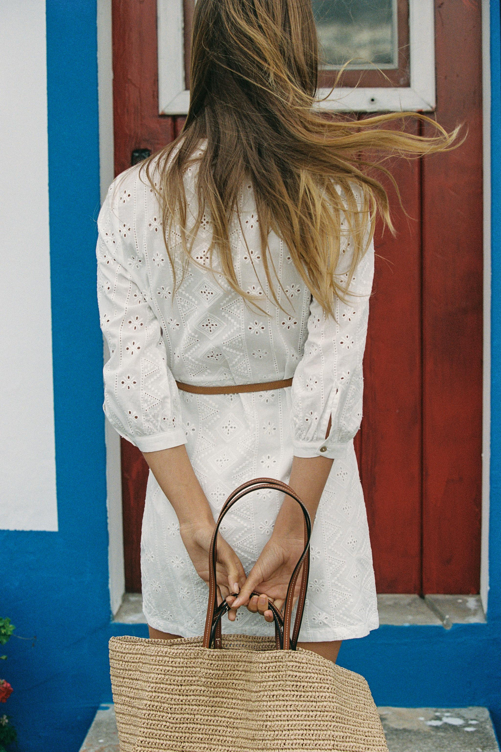 OPENWORK EMBROIDERED MINI DRESS | Zara US