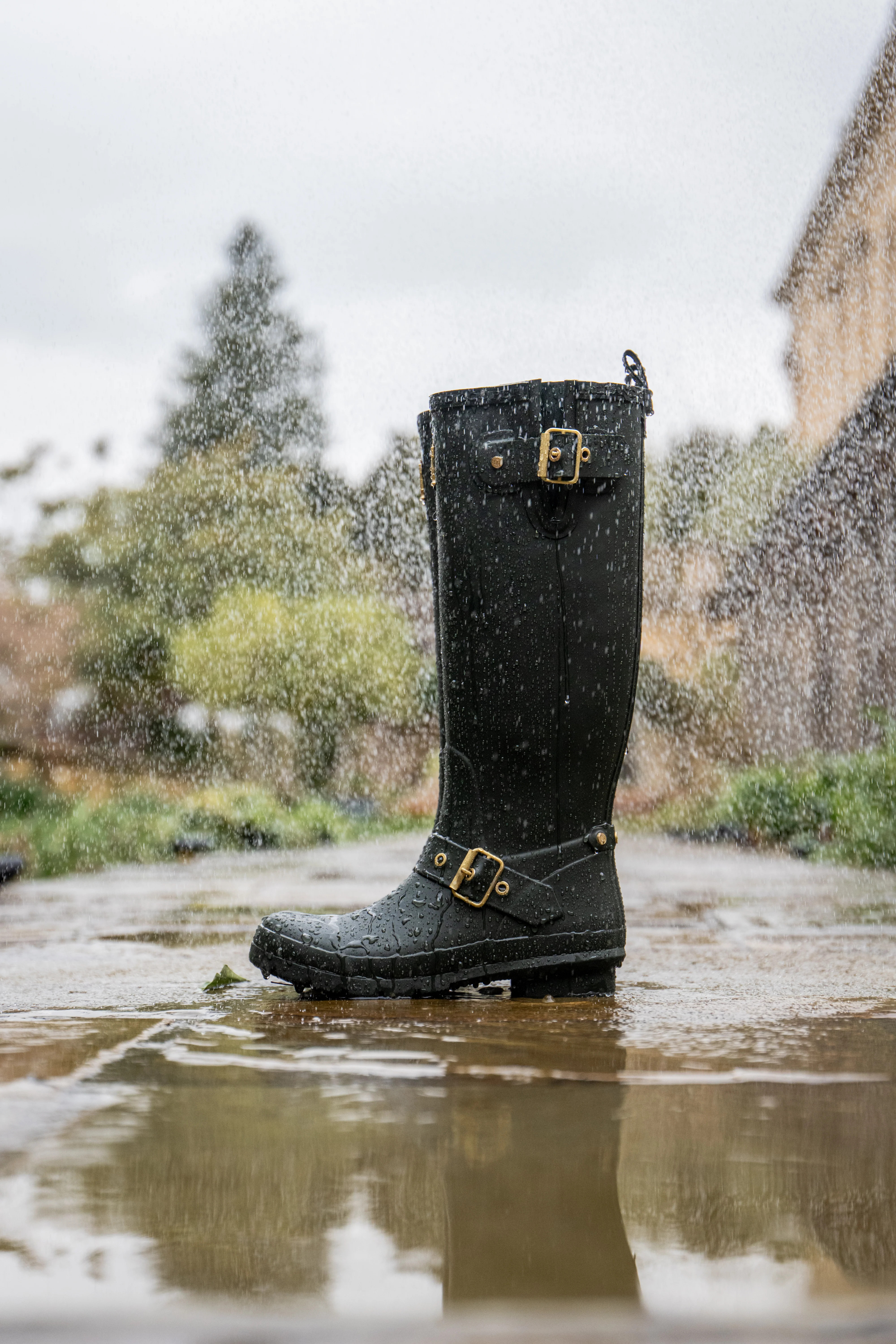 Regency Wellington (Dark Pine) | Holland Cooper