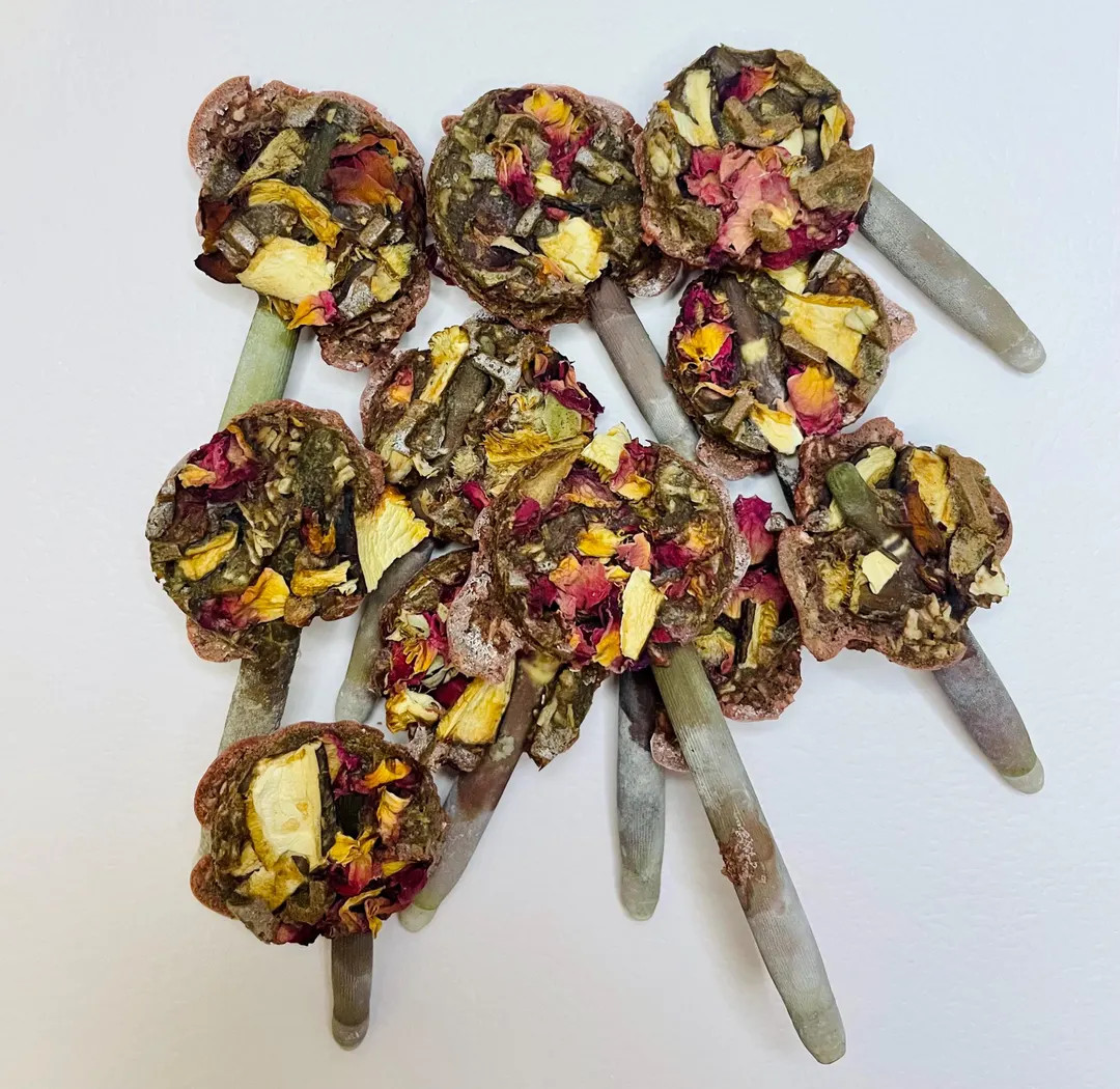 Gourmet Hermit Crab Lollipops | Hermit Crab Food - Etsy | Etsy (US)