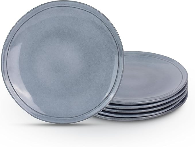 Famiware Aegean Dinner Plates Set for 6, 10.5-Inch Scratch Resistant Stoneware Dinnerware Dish Se... | Amazon (US)